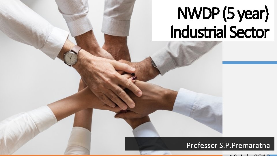 NWDP (5 year) Industrial Sector Professor S. P. Premaratna 