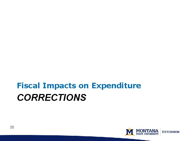 Fiscal Impacts on Expenditure CORRECTIONS 30 
