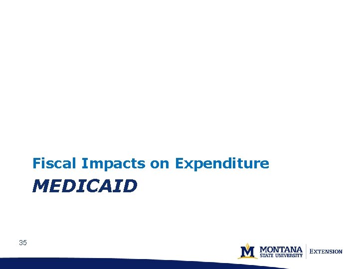 Fiscal Impacts on Expenditure MEDICAID 35 