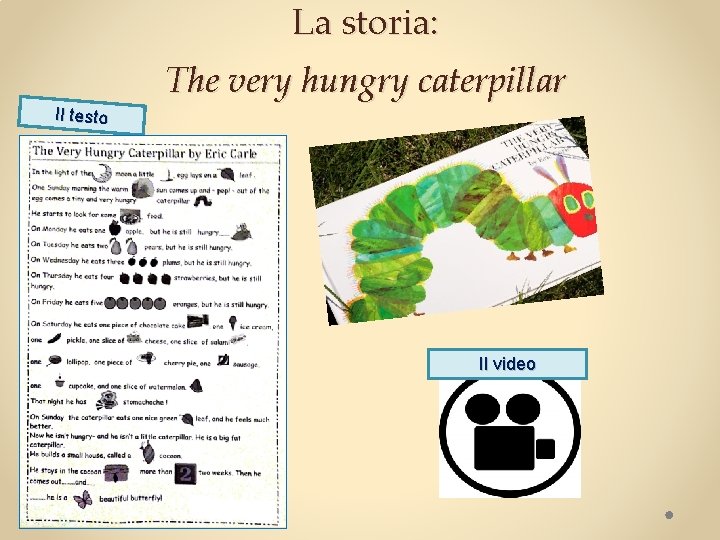 La storia: Il testo The very hungry caterpillar Il video 