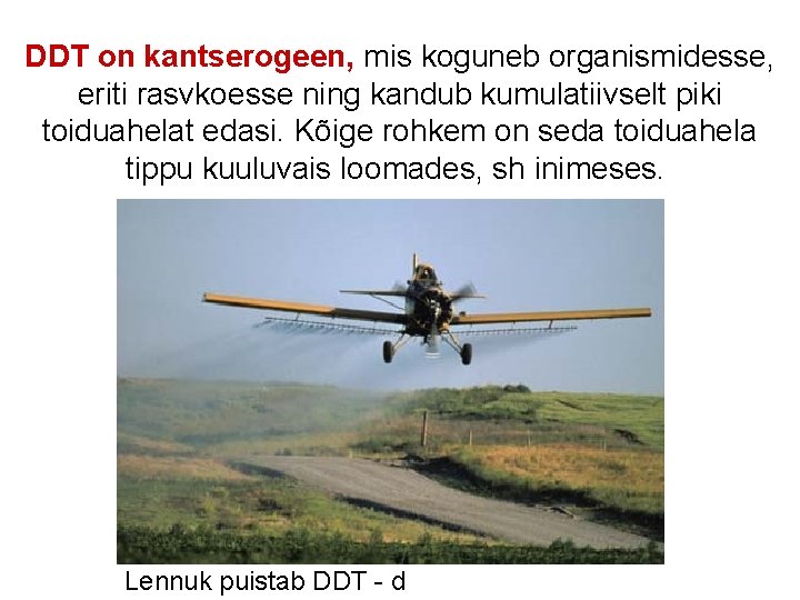 DDT on kantserogeen, mis koguneb organismidesse, eriti rasvkoesse ning kandub kumulatiivselt piki toiduahelat edasi.