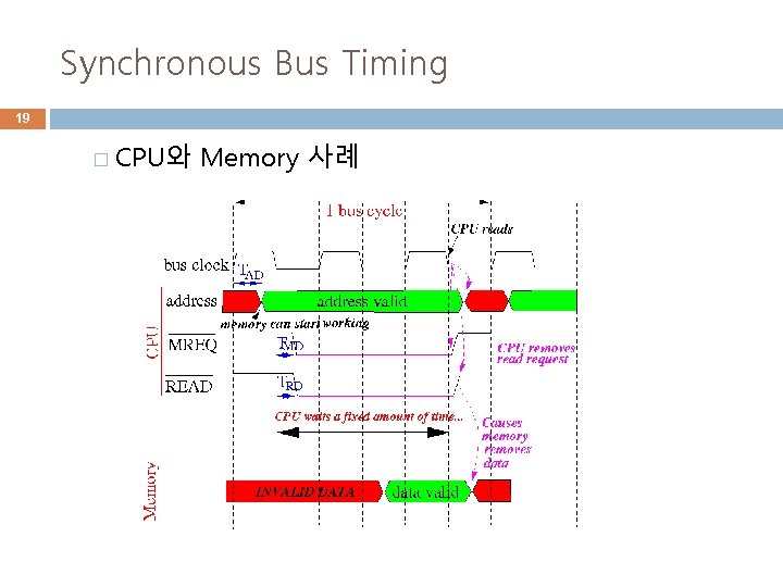 Synchronous Bus Timing 19 � CPU와 Memory 사례 