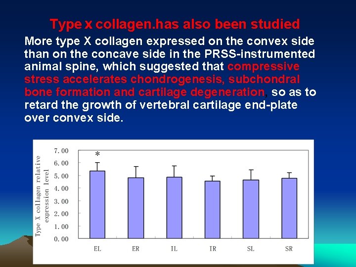 Typeⅹcollagen. has also been studied More type X collagen expressed on the convex side