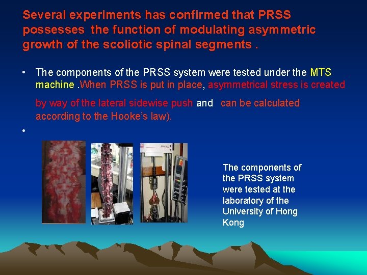 Several experiments has confirmed that PRSS possesses the function of modulating asymmetric growth of