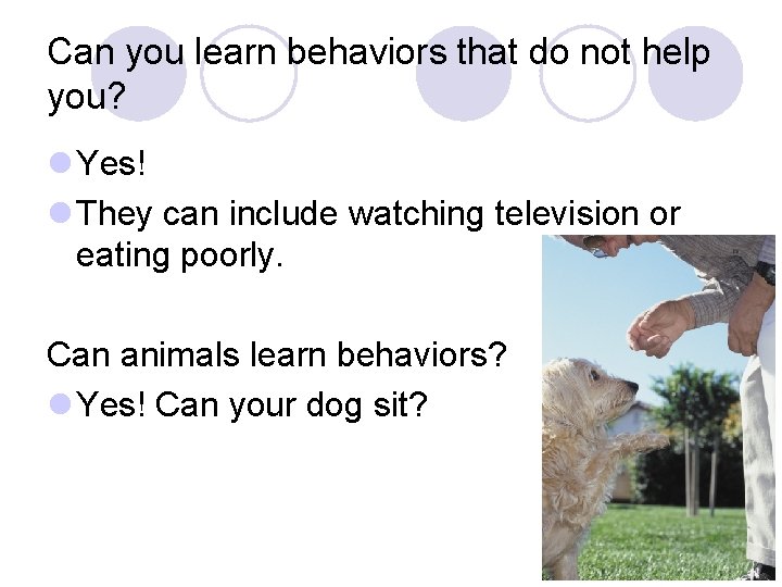 Can you learn behaviors that do not help you? l Yes! l They can