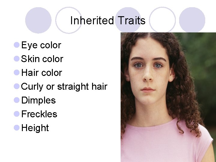 Inherited Traits l Eye color l Skin color l Hair color l Curly or