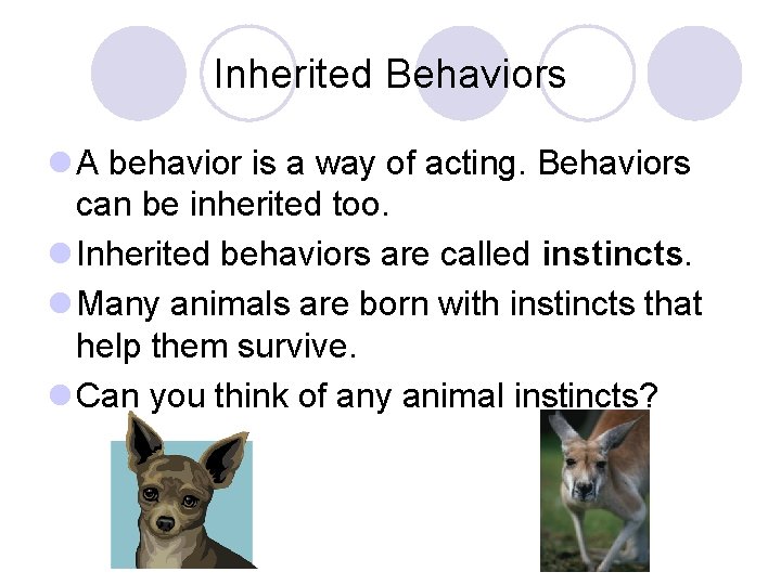 Inherited Behaviors l A behavior is a way of acting. Behaviors can be inherited
