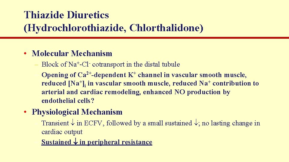 Thiazide Diuretics (Hydrochlorothiazide, Chlorthalidone) • Molecular Mechanism – Block of Na+-Cl- cotransport in the