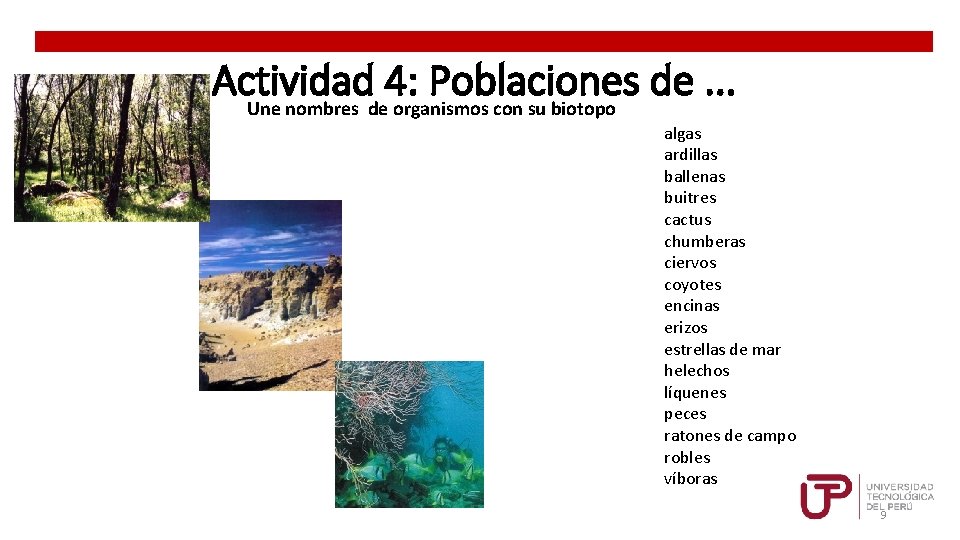 Actividad 4: Poblaciones de. . . Une nombres de organismos con su biotopo algas