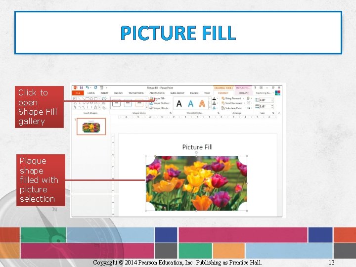 PICTURE FILL Click to open Shape Fill gallery Plaque shape filled with picture selection