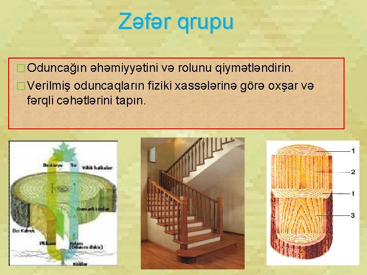 Zəfər qrupu � Oduncağın əhəmiyyətini və rolunu qiymətləndirin. � Verilmiş oduncaqların fiziki xassələrinə görə