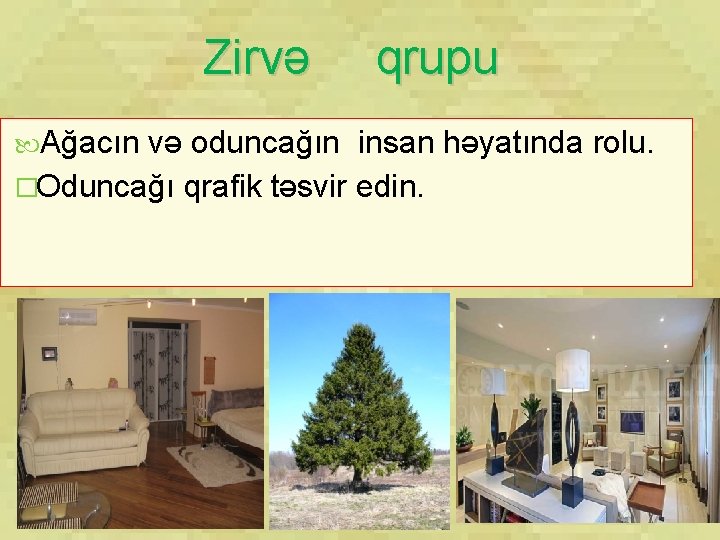 Zirvə Ağacın qrupu və oduncağın insan həyatında rolu. �Oduncağı qrafik təsvir edin. 
