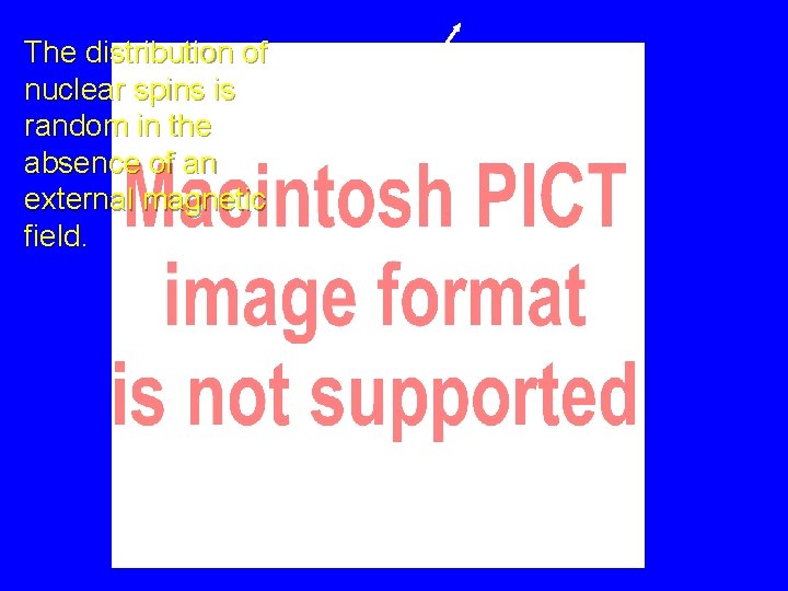 The distribution of nuclear spins is random in the absence of an external magnetic