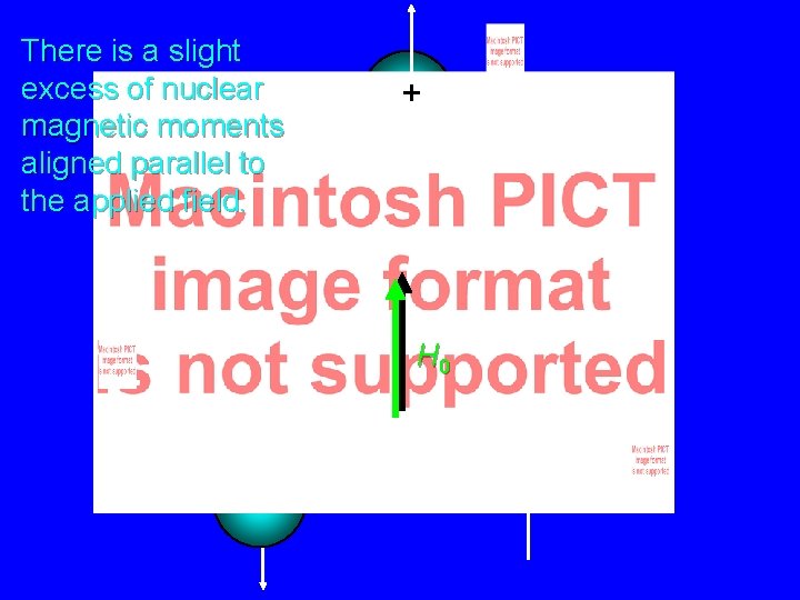 There is a slight excess of nuclear magnetic moments aligned parallel to the applied