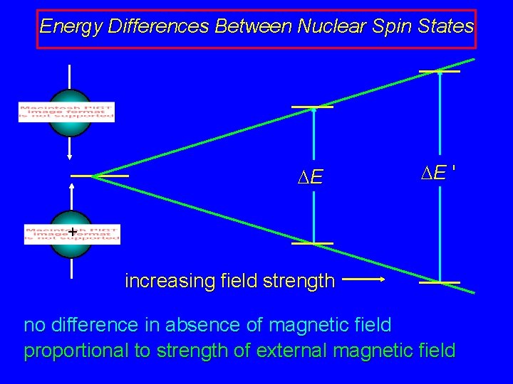 Energy Differences Between Nuclear Spin States + DE DE ' + increasing field strength Energy Differences Between Nuclear Spin States + DE DE ' + increasing field strength