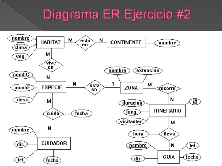 Diagrama ER Ejercicio #2 