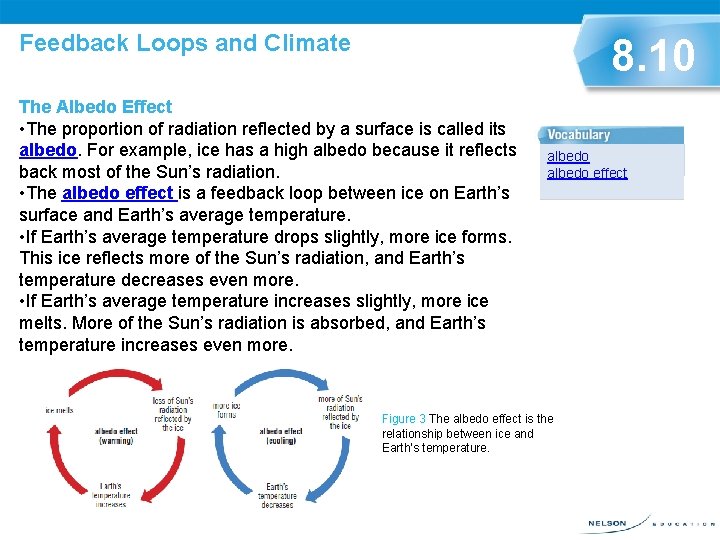 Feedback Loops and Climate 8. 10 The Albedo Effect • The proportion of radiation