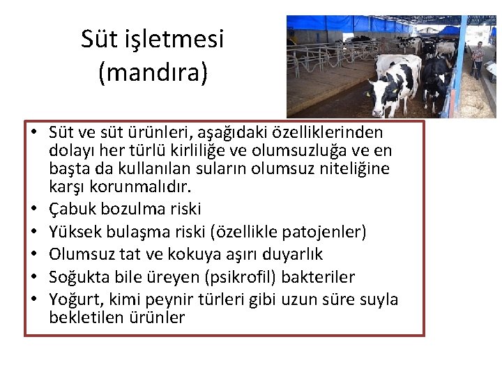 Süt işletmesi (mandıra) • Süt ve süt ürünleri, aşağıdaki özelliklerinden dolayı her türlü kirliliğe