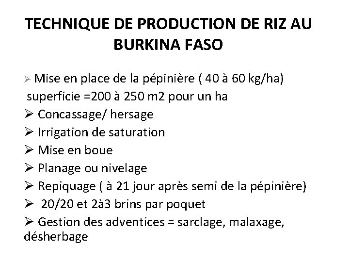 TECHNIQUE DE PRODUCTION DE RIZ AU BURKINA FASO Ø Mise en place de la