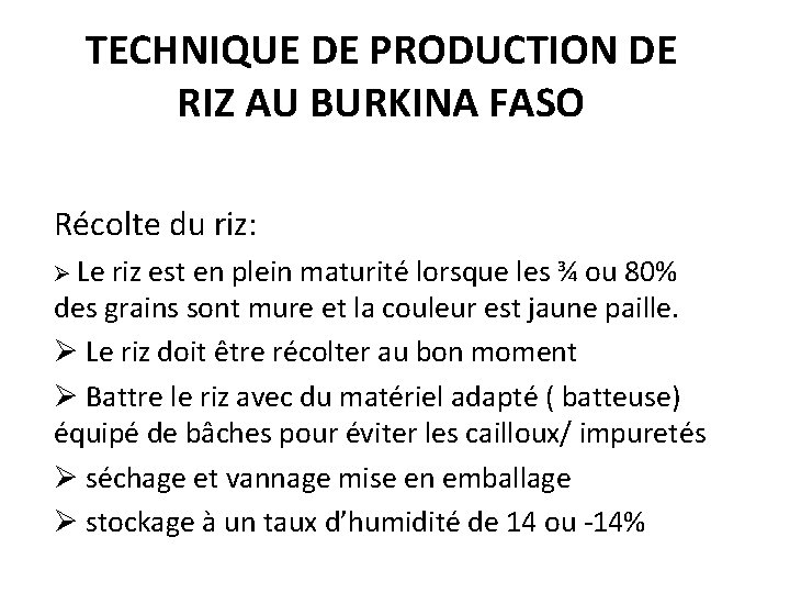 TECHNIQUE DE PRODUCTION DE RIZ AU BURKINA FASO Récolte du riz: Ø Le riz