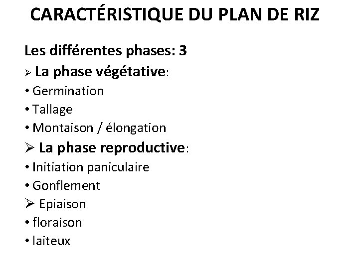 CARACTÉRISTIQUE DU PLAN DE RIZ Les différentes phases: 3 Ø La phase végétative: •