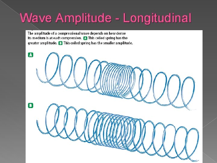 Wave Amplitude - Longitudinal 