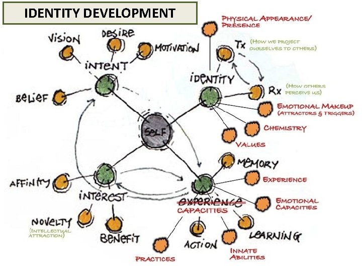 IDENTITY DEVELOPMENT 