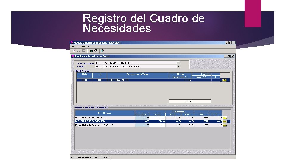 Registro del Cuadro de Necesidades 