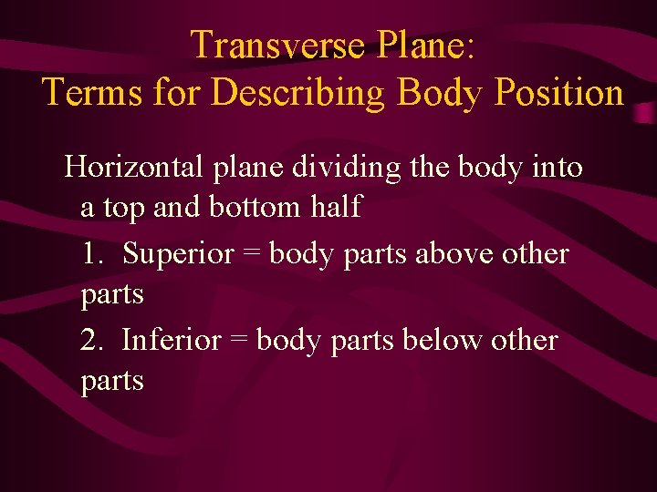 Transverse Plane: Terms for Describing Body Position Horizontal plane dividing the body into a Transverse Plane: Terms for Describing Body Position Horizontal plane dividing the body into a
