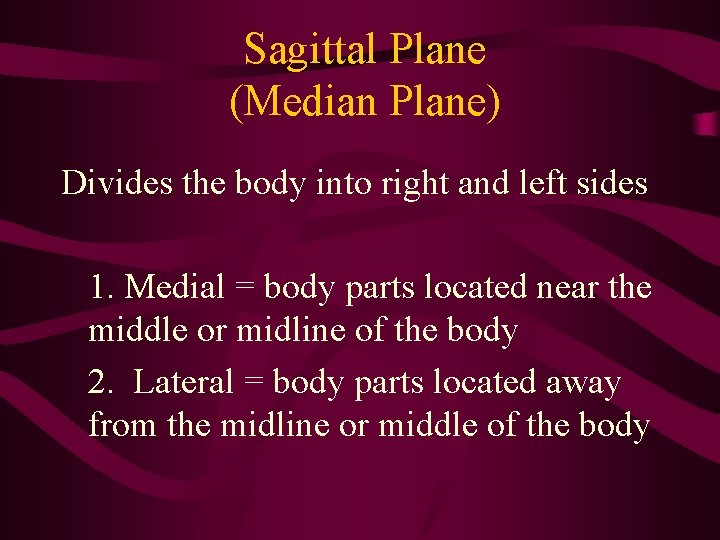 Sagittal Plane (Median Plane) Divides the body into right and left sides 1. Medial Sagittal Plane (Median Plane) Divides the body into right and left sides 1. Medial