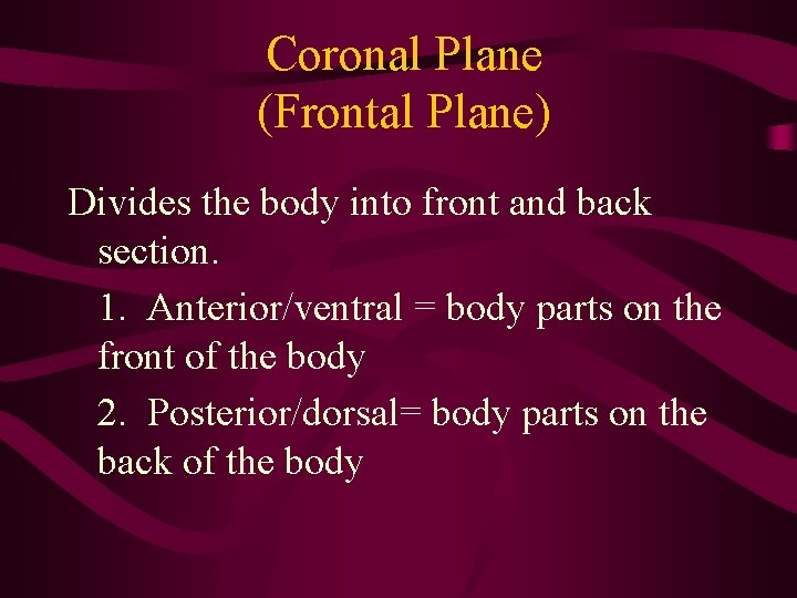 Coronal Plane (Frontal Plane) Divides the body into front and back section. 1. Anterior/ventral Coronal Plane (Frontal Plane) Divides the body into front and back section. 1. Anterior/ventral