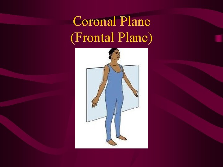 Coronal Plane (Frontal Plane) Coronal Plane (Frontal Plane)
