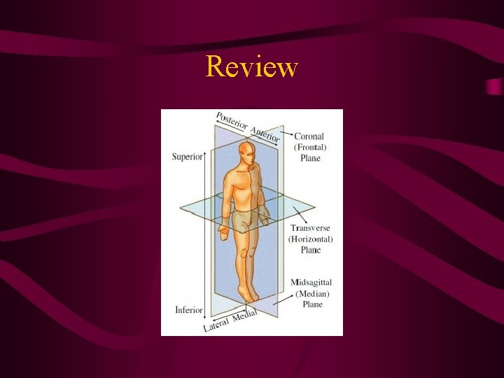 Review Review