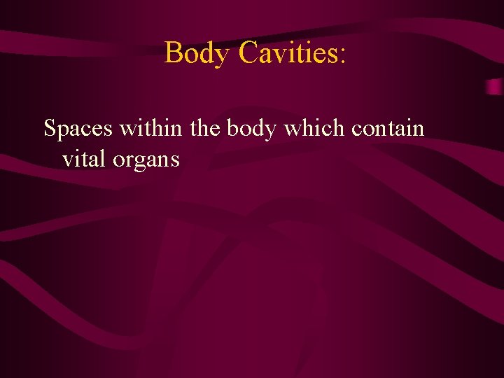 Body Cavities: Spaces within the body which contain vital organs Body Cavities: Spaces within the body which contain vital organs