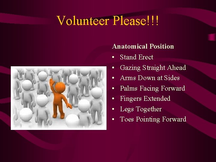 Volunteer Please!!! Anatomical Position • • Stand Erect Gazing Straight Ahead Arms Down at Volunteer Please!!! Anatomical Position • • Stand Erect Gazing Straight Ahead Arms Down at