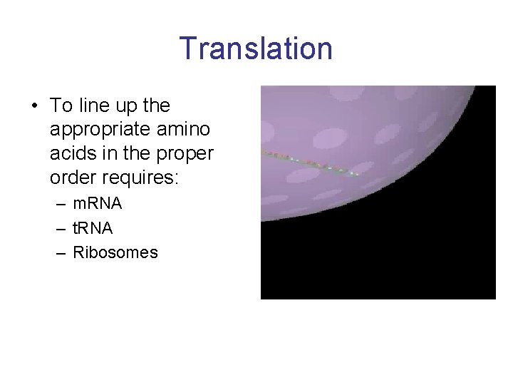 Translation • To line up the appropriate amino acids in the proper order requires: