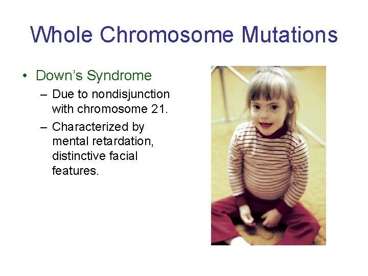 Whole Chromosome Mutations • Down’s Syndrome – Due to nondisjunction with chromosome 21. –