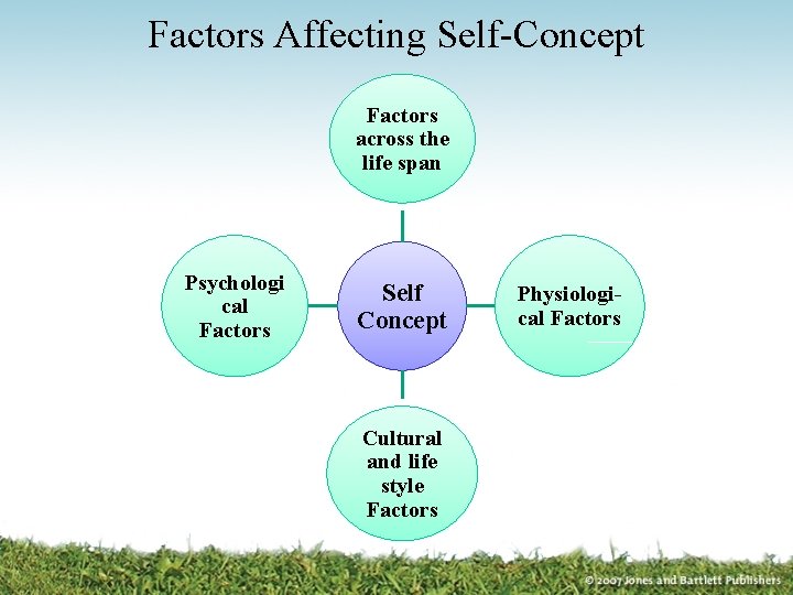 Factors Affecting Self-Concept Factors across the life span Psychologi cal Factors Self Concept Cultural