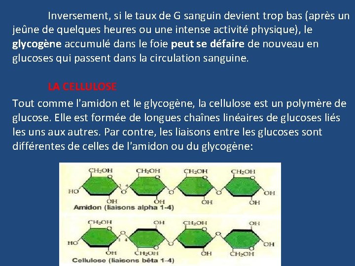 Inversement, si le taux de G sanguin devient trop bas (après un jeûne de