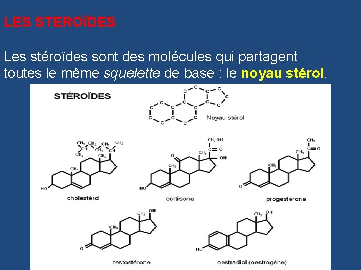 LES STEROÏDES Les stéroïdes sont des molécules qui partagent toutes le même squelette de