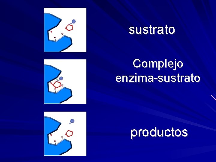 sustrato Complejo enzima-sustrato productos 