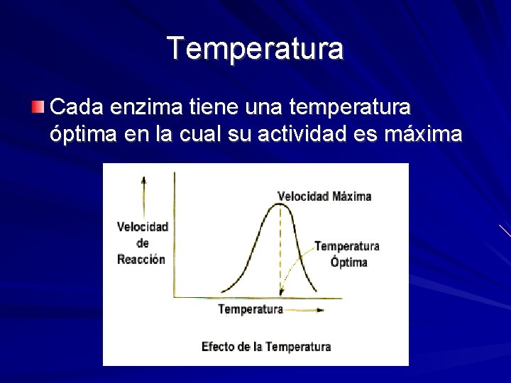 Temperatura Cada enzima tiene una temperatura óptima en la cual su actividad es máxima