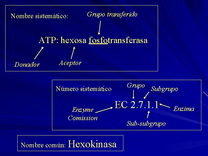 Nombre sistemático: Grupo transferido ATP: hexosa fosfotransferasa Donador Aceptor Grupo Subgrupo Número sistemático Enzyme