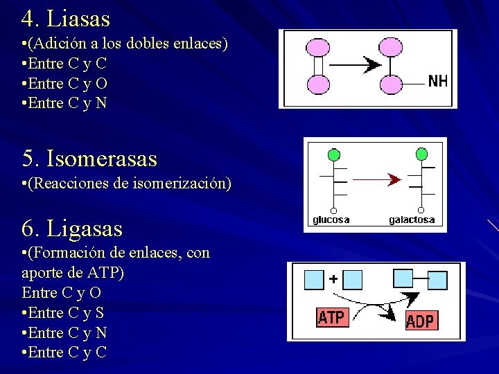 4. Liasas • (Adición a los dobles enlaces) • Entre C y C •