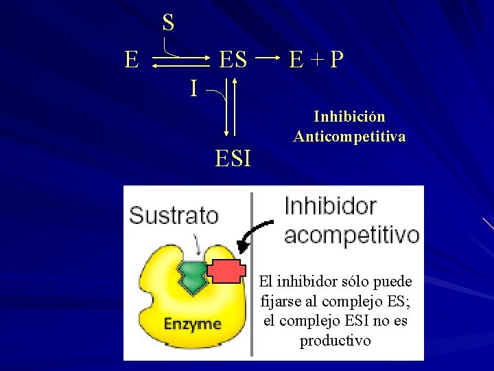 S E ES E + P I ESI Inhibición Anticompetitiva El inhibidor sólo puede