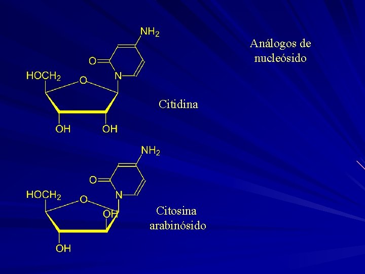 Análogos de nucleósido Citidina Citosina arabinósido 