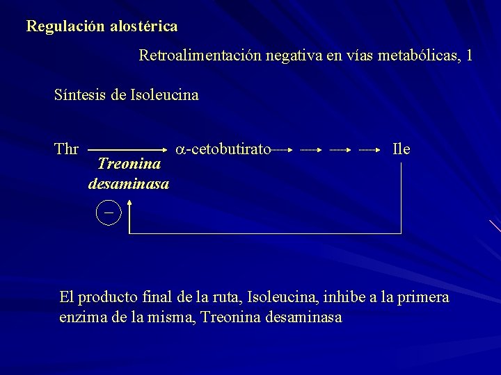 Regulación alostérica Retroalimentación negativa en vías metabólicas, 1 Síntesis de Isoleucina Thr Treonina desaminasa