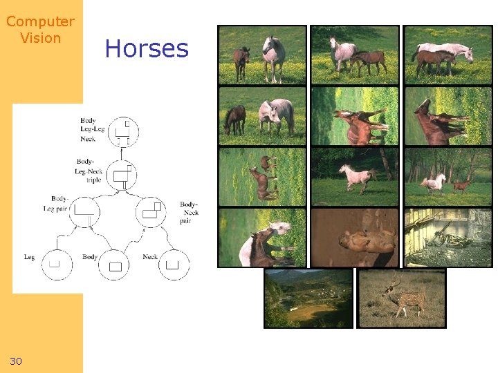 Computer Vision 30 Horses Computer Vision 30 Horses