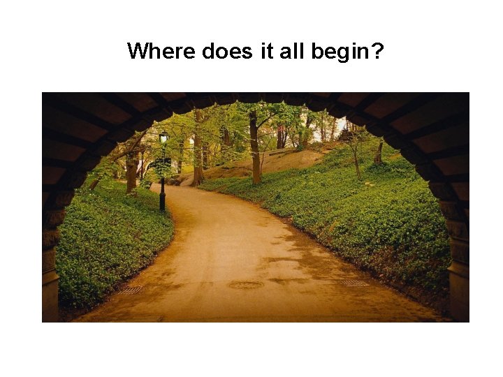 Where does it all begin? 
