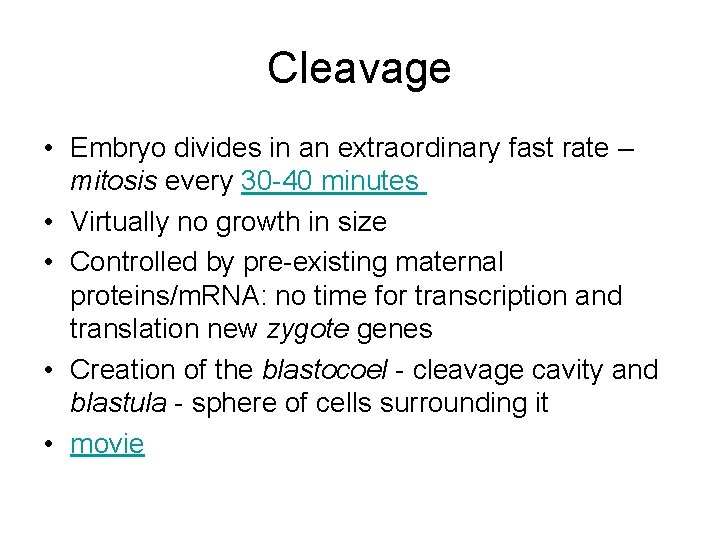 Cleavage • Embryo divides in an extraordinary fast rate – mitosis every 30 -40